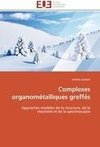 Complexes organométalliques greffés