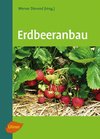 Erdbeeranbau