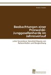 Beobachtungen einer Przewalski-Junggesellenherde im Jahresverlauf