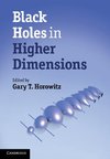 Black Holes in Higher Dimensions