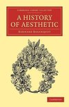 A History of Aesthetic