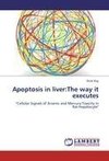 Apoptosis in liver:The way it executes