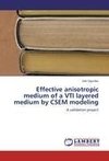 Effective anisotropic medium of a VTI layered medium by CSEM modeling