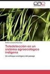 Teledetección en un sistema agroecológico indígena