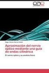 Aproximación del nervio óptico mediante una guía de ondas cilíndrica