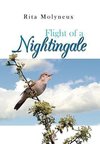 Flight of a Nightingale