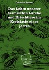 Das Leben unserer heimischen Lurche und Kriechtiere im Kreislaufe eines Jahres