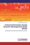 Critical Information Assets Disaster Management Audit Model