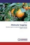 Molecular tagging: