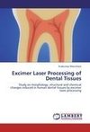 Excimer Laser Processing of Dental Tissues