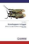 Grasshoppers in Egypt