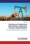 Petroleum Production Stimulation: Hydraulic Fracture Optimization