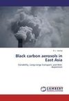 Black carbon aerosols in East Asia