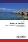 Concrete Durability