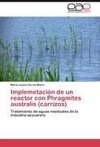 Implemetación de un reactor con Phragmites australis (carrizos)