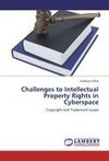 Challenges to Intellectual Property Rights in Cyberspace