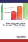 Determinants of Income Inequality in Urban Ethiopia