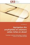 Agrégation des amphiphiles en solutions salées riches en alcool