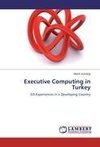 Executive Computing in Turkey