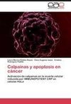 Calpaínas y apoptosis en cáncer