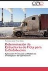 Determinación de Estructuras de Flota para la Distribución