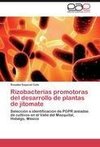 Rizobacterias promotoras del desarrollo de plantas de jitomate