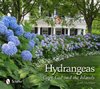 HYDRANGEAS