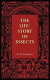 The Life-Story of Insects