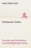 Wallensteins Antlitz