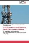 Canal de Desvanecimiento Selectivo en Frecuencia