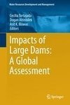 Impacts of Large Dams: A Global Assessment