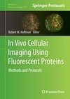 In Vivo Cellular Imaging Using Fluorescent Proteins