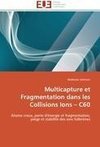 Multicapture et Fragmentation dans les Collisions Ions -  C60