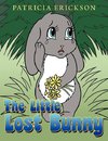 The Little Lost Bunny