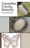 Caterpillar, Cocoon, Butterfly