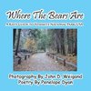 Where The Bears Are---A Kid's Guide To Yosemite National Park, USA