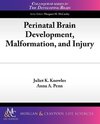 Perinatal Brain Development, Malformation, and Injury