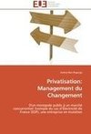 Privatisation: Management du Changement