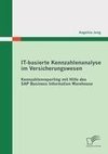 IT-basierte Kennzahlenanalyse im Versicherungswesen: Kennzahlenreporting mit Hilfe des SAP Business Information Warehouse