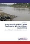 Trace Metals in Black River Sediments, Western Cape, South Africa