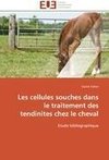 Les cellules souches dans le traitement des tendinites chez le cheval