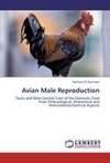 Avian Male Reproduction