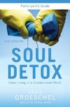 Soul Detox Participant's Guide