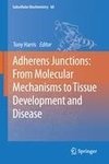 Adherens Junctions: from Molecular Mechanisms to Tissue Development and Disease