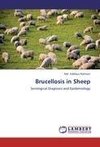 Brucellosis in Sheep