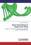 Gene Pyrmiding in Sugarcane Crop