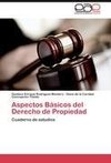 Aspectos Básicos del Derecho de Propiedad