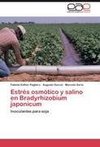 Estrés osmótico y salino en Bradyrhizobium japonicum