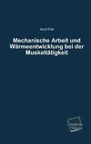 Mechanische Arbeit und Wärmeentwicklung bei der Muskeltätigkeit