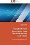 Identification et Commande pour l'Atténuation des Vibrations